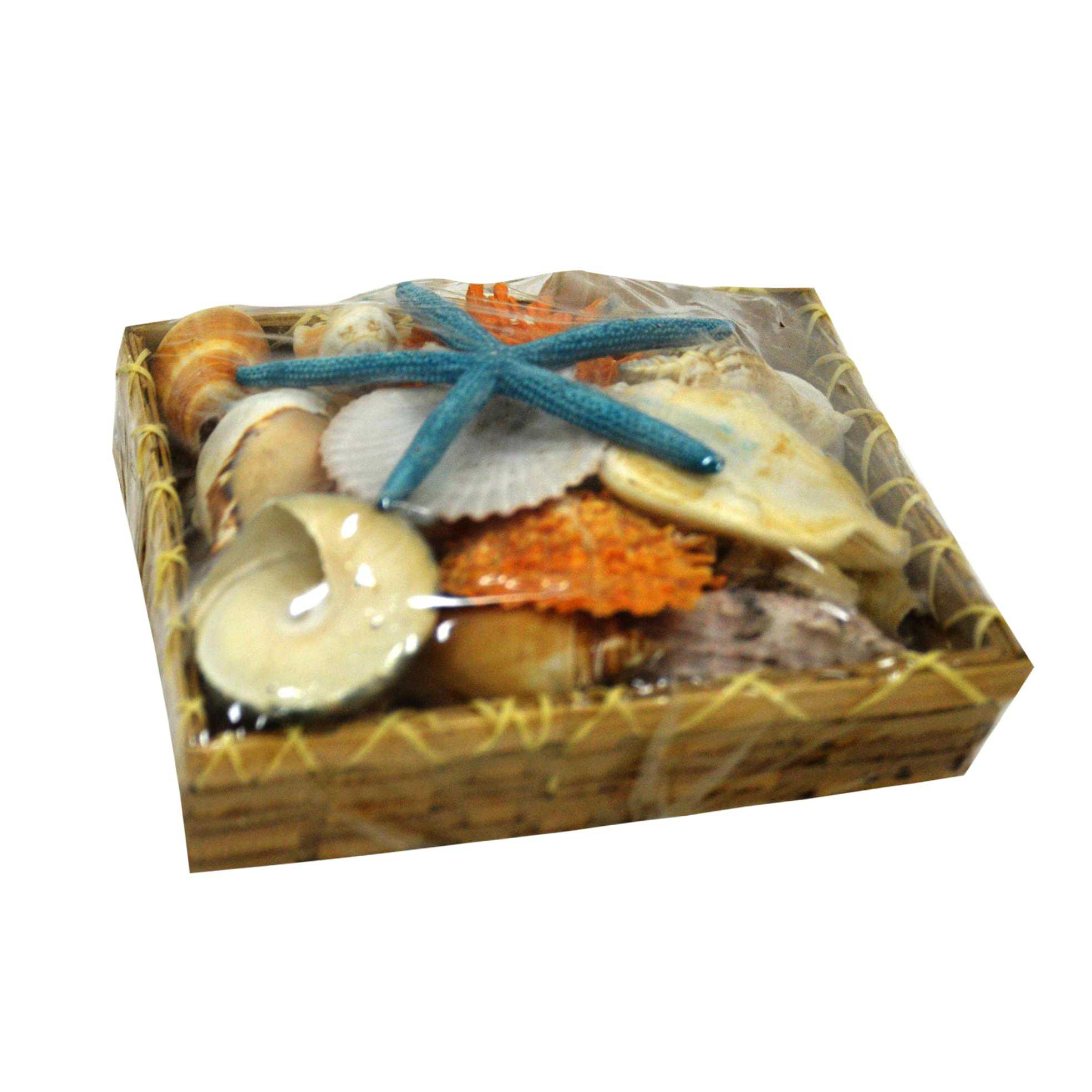 Seashell basket medium