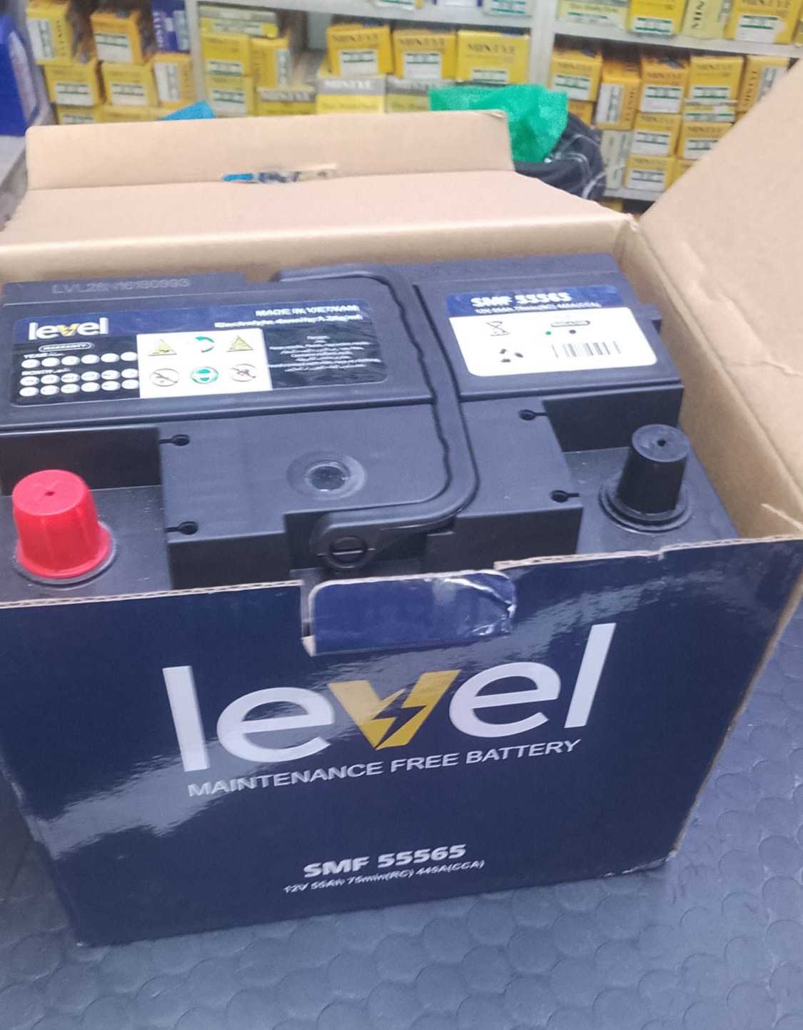 DIN55 R level battery